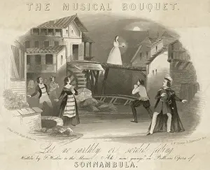Sleepwalking: La Sonnambula