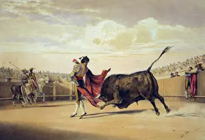 Bullfight: La suerte de la capa