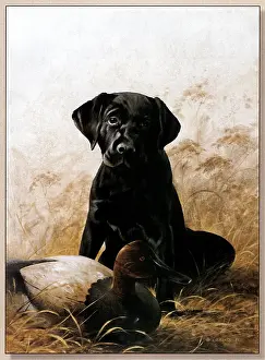 Decoy: Lab Puppy with Decoy