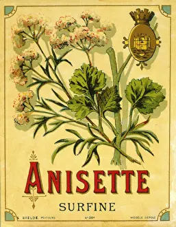 Retrograph: Label design for anisette liqueur