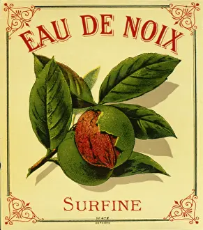 Retrograph: Label design for coconut water