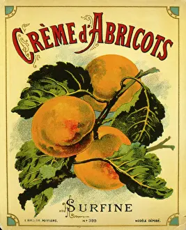 Retrograph: Label design for Creme d'Abricots