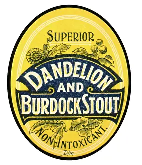Stout: Label design for Dandelion and Burdock Stout