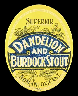 Stout: Label design for Dandelion and Burdock Stout