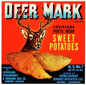 Antlers: Label design, Deer Mark Sweet Potatoes