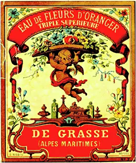 Fleurs: Label design for Eau de Fleurs d'Oranger