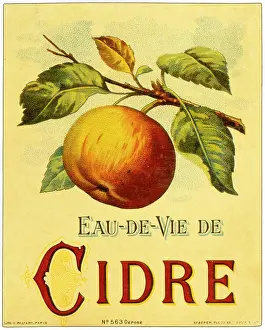 Cider: Label design for Eau de Vie de Cidre (Brandy Cider)