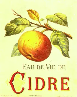Retrograph: Label design for Eau de Vie de Cidre (Brandy Cider)