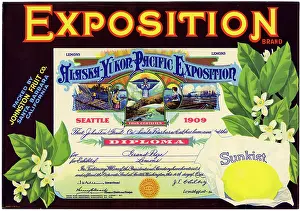 Packaging: Label design, Exposition Sunkist Lemons
