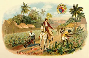 Boss: Label design, Gran Fabrica de Tabacos cigars