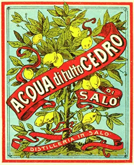 Retrograph: Label design for a grappa-based lemon liqueur
