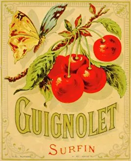 Juice: Label design for Guignolet fruit syrup or juice