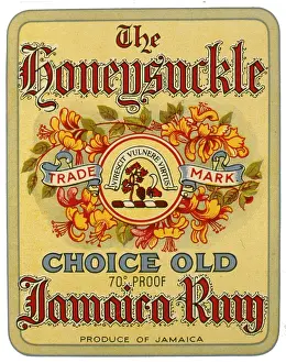 Retrograph: Label design for Honeysuckle Jamaica Rum