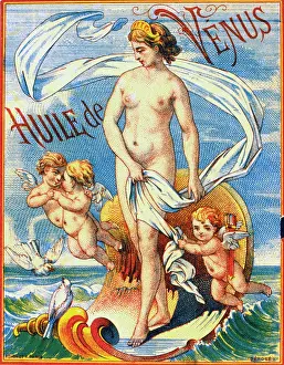 Doves: Label design for Huile de Venus