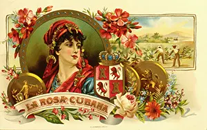 Label design, La Rosa Cubana cigars