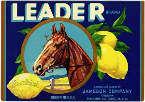 Corona: Label design, Leader Sunkist Lemons