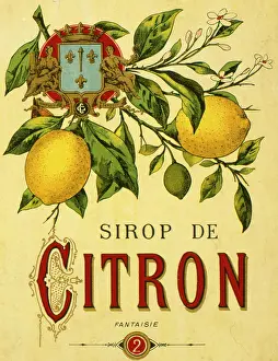 Juice: Label design for lemon syrup or juice