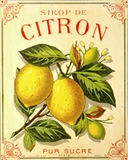 Juice: Label design for lemon syrup or juice