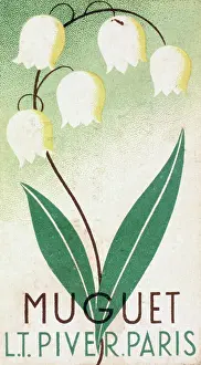 Delicate: Label design for Muguet perfume
