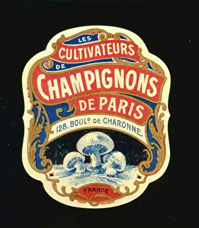 Champignons: Label design for mushrooms