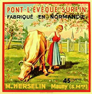 Cheese: Label design for Pont l'Eveque Surfin soft cheese