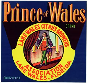 Packaging: Label design, Prince of Wales Citrus Fruit