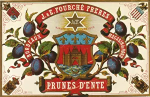 Bordeaux: Label design for Prunes d'Ente