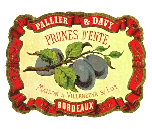 Bordeaux: Label design for Prunes d'Ente