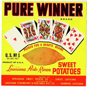 Potato: Label design, Pure Winner Sweet Potatoes