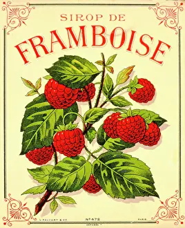 Juice: Label design for raspberry syrup or juice