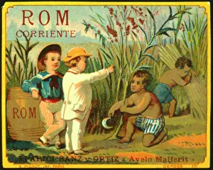 Ordinary: Label design for Rom Corriente