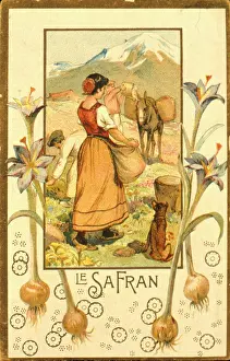 Spice: Label design for saffron