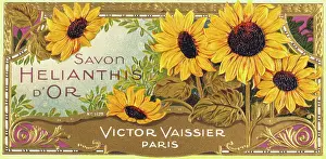 Savon: Label design for Savon Helianthis d'Or