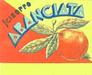 Squash: Label design for Sciroppo Aranciata