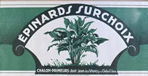 Chalon: Label design for Surchoix spinach
