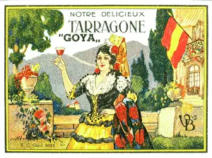 Toasting: Label design for Tarragone Goya wine