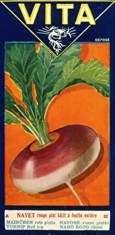 Turnip: Label design for Vita -- red top turnip