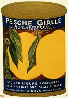 Syrup: Label design, yellow peaches in syrup