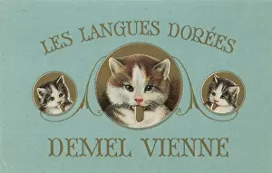 Confectioneries: Label > Les langues Dorees < of Demel
