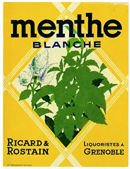 Blanche: Label, Menthe Blanche