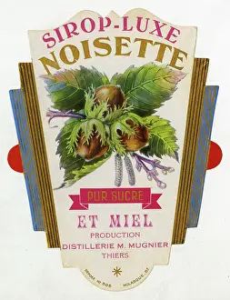 Honey: Label, Sirop-Luxe Noisette