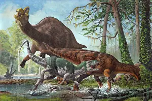 Tyrannosauroid: Labocania attacking a Magnapaulia dinosaur