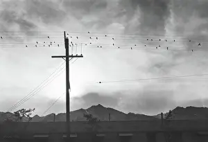 Manzanar: labor camp - Japanese-Americans - internment