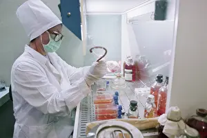 Purity: Laboratory of cellular biotechnology