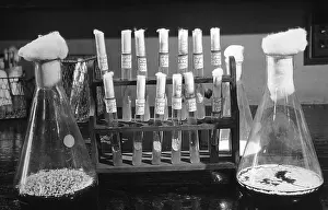 Pharmacology: Laboratory flasks and test tubes used in ?