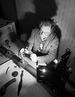 Supervisor: Laboratory supervisor E. Chernykh
