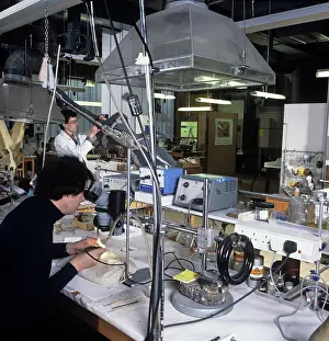 Hemiptera: Laboratory work