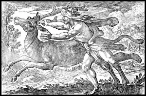 Labors: Labors of Hercules, Capture the Ceryneian Hind