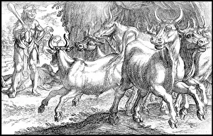 Labors: Labors of Hercules, Obtain the Cattle of Geryon