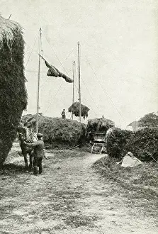 Pulleys: Labour-saving hay stacking on a farm in Kent, England